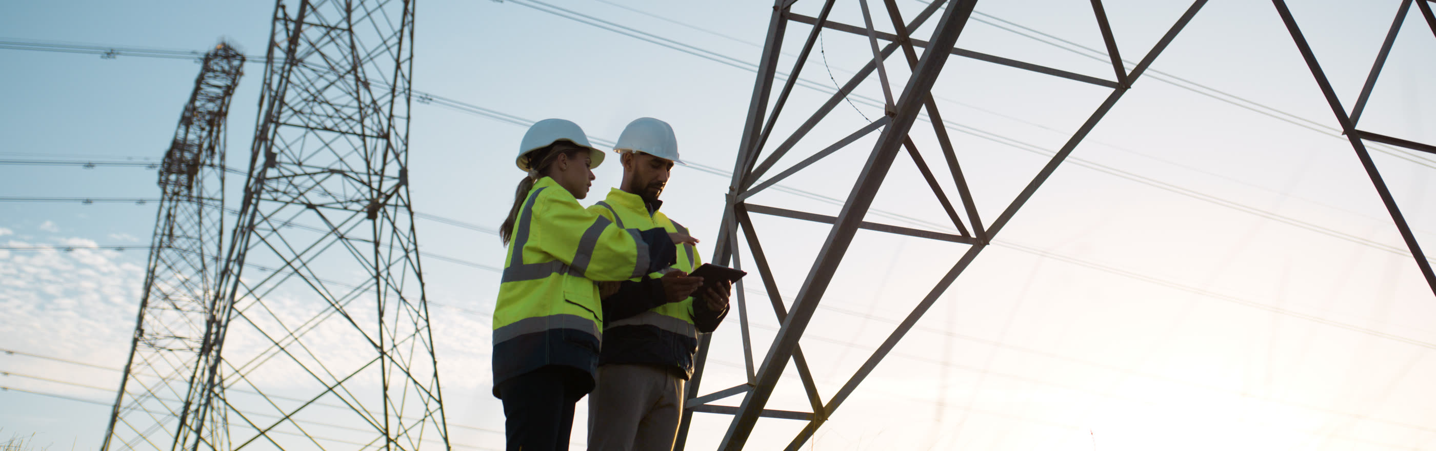 Transgrid — Major Utility Infrastructure Design Management