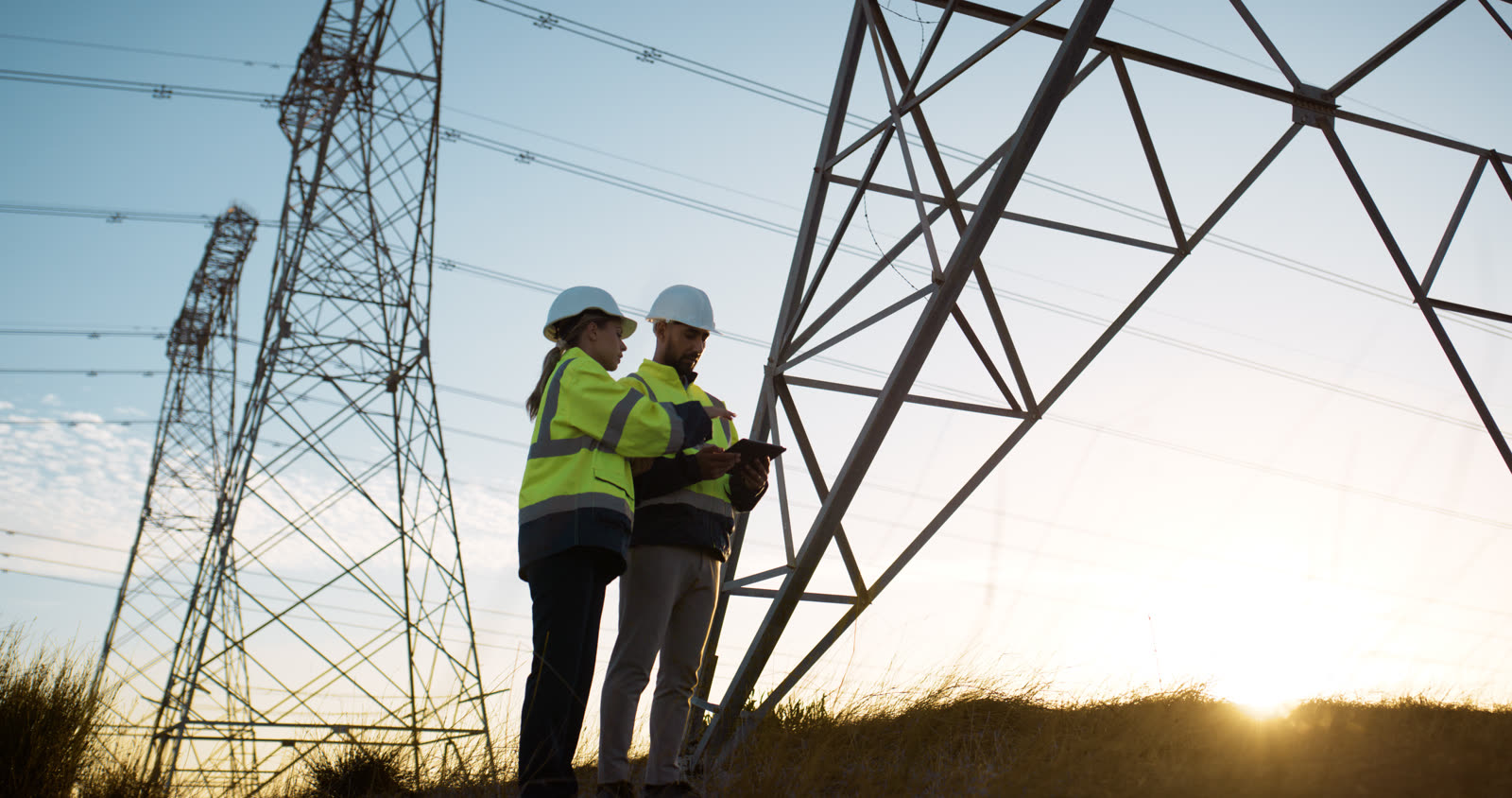 Transgrid — Major Utility Infrastructure Design Management